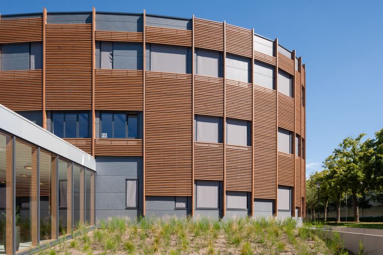 20120724_0264 website 20120724_0264 website