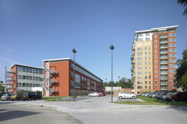 Friso17