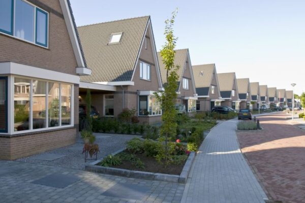 Koningsvaren3